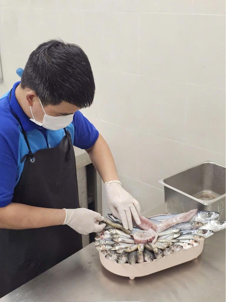 Gia đình đặc biệt của những chú sư tử biển tại Thủy cung Lotte World Hà Nội ảnh 1