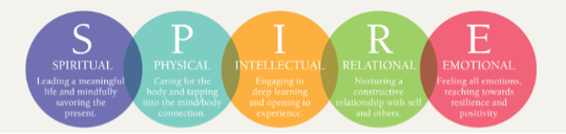 Các chuyên gia uy tín quy tụ ở Hà Nội để chia sẻ về “Hạnh phúc trong giáo dục” ảnh 2