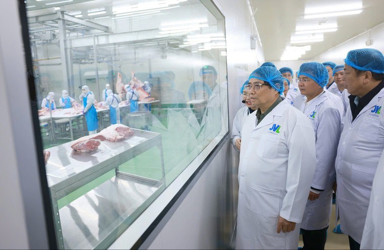Thủ tướng thăm tổ hợp khép kín chăn nuôi & chế biến thịt bò cao cấo đầu tiên tại Việt Nam ảnh 3