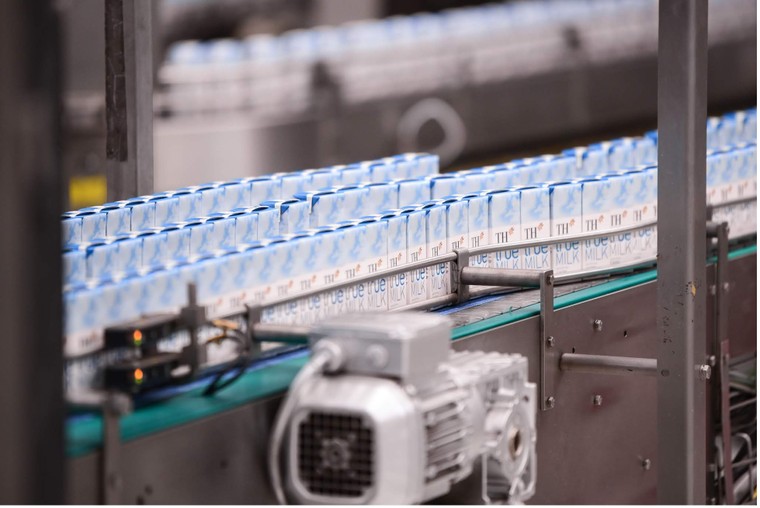 Tập đoàn TH cam kết ra sao về trung hòa carbon và Net Zero? ảnh 1