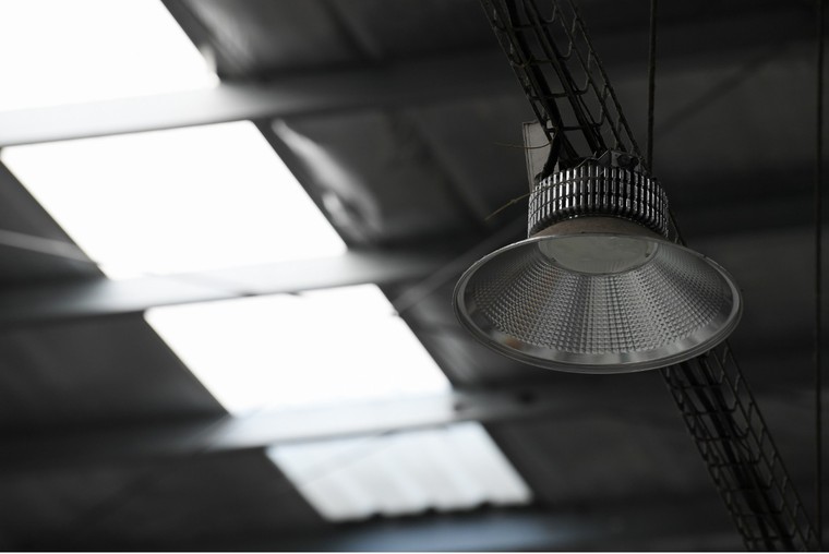 Tập đoàn TH cam kết ra sao về trung hòa carbon và Net Zero? ảnh 2