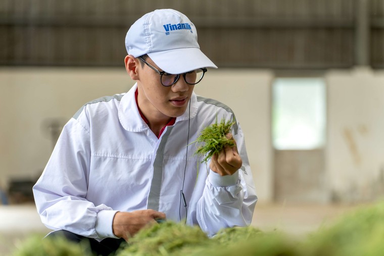 Vinamilk Green Farm - từ "resort cho bò" đến hộp sữa đạt chuẩn quốc tế ảnh 3