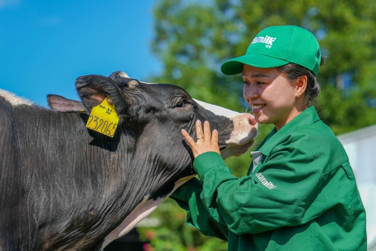 Vinamilk Green Farm - từ "resort cho bò" đến hộp sữa đạt chuẩn quốc tế ảnh 6