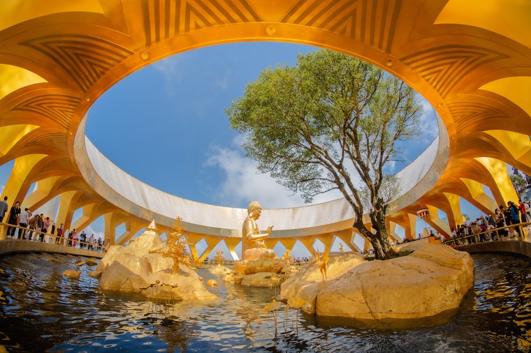 Chuyện ít biết về cây sung cổ bên tượng Phật Câu Na Hàm Mâu Ni trên núi Bà Đen ảnh 2