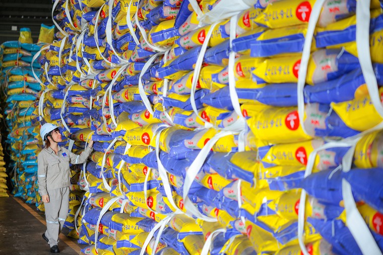 PVFCCo – Phú Mỹ: 23 năm bền bỉ mở rộng giá trị, vươn tầm quốc tế ảnh 1