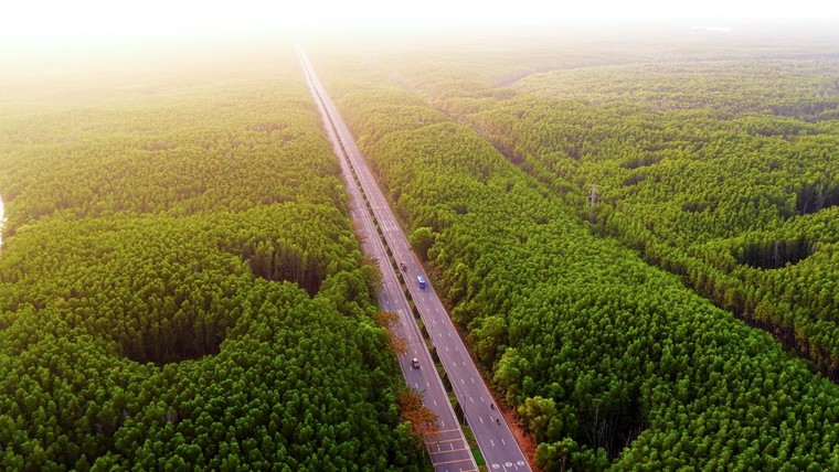 Vinhomes Green Paradise: “Dự án để đời” mang khát vọng kiến tạo biểu tượng mới cho Việt Nam ảnh 2