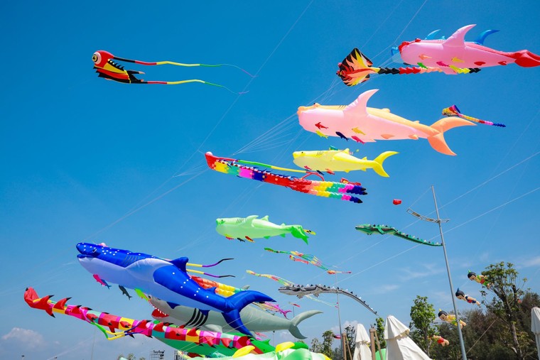 Du khách dự Paradise Summer Fest Cần Giờ: “Tận mắt chứng kiến quy mô mới thấy đây thật sự là một dự án vĩ đại” ảnh 3