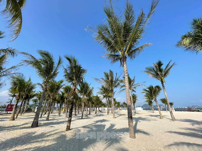 Nhiều địa phương 'rón rén' mở cửa du lịch, 'hồi sức' cho doanh nghiệp, người dân ảnh 3