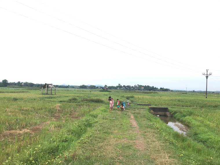 Mùa hè Covid ảnh 1