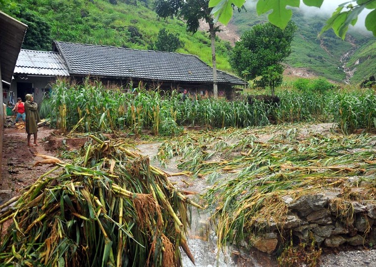 Cảnh đổ nát sau trận mưa lũ khủng khiếp ở thôn Tùng Lùn - Hà Giang ảnh 2