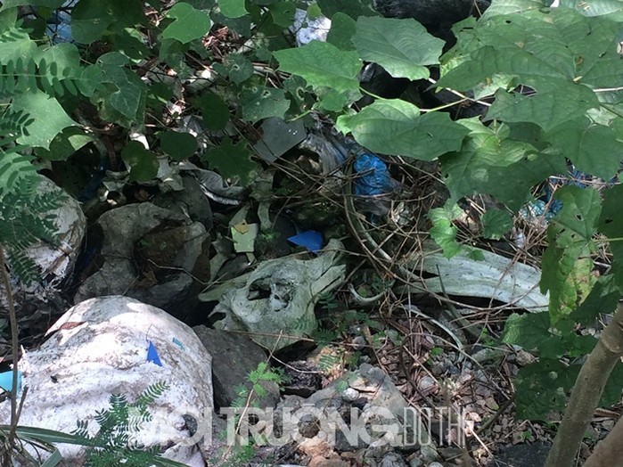 Cao Bằng: Rác thải 'bủa vây' lối vào thác Bản Giốc ảnh 4