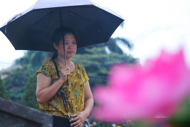 Ảnh: Cha bạc râu lặng lẽ thăm mộ con trai giữa nghĩa trang liệt sĩ ảnh 4