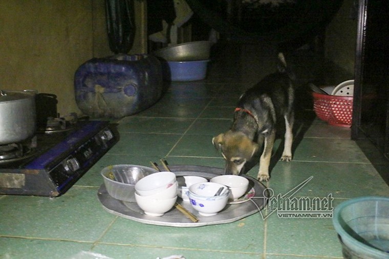 Lụt lịch sử ở Chương Mỹ: Bơi thuyền tiếp tế thức ăn, lở loét vì lội nước ảnh 15