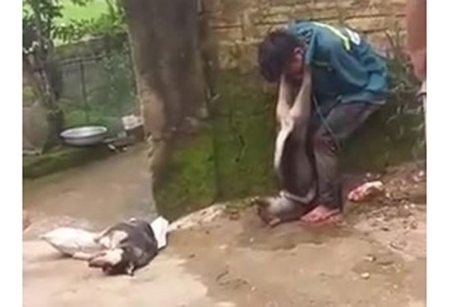 Trộm chó, nam thanh niên bị người dân treo chó lên cổ ảnh 1