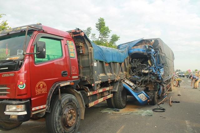 Ô tô gây tai nạn liên hoàn vì bò thả rông ảnh 1