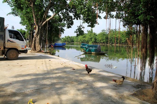 Hà Nội: Học sinh mang sách vở ngập nước lũ phơi bên đường ảnh 2