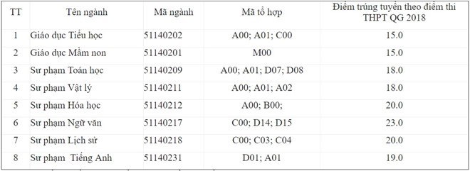 CĐ Sư phạm Gia Lai nâng điểm chuẩn để loại thí sinh là sai ảnh 1