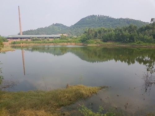 Cá chết hàng loạt quanh khu vực bãi rác Nam Sơn, Hà Nội ảnh 1