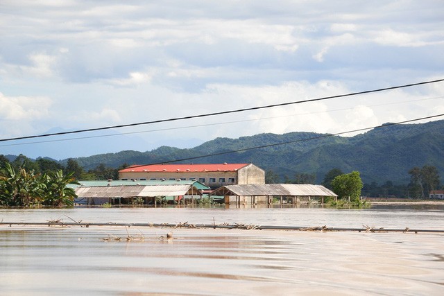 Nghệ An: Mênh mông nước lũ giữa trời nắng chang chang ảnh 1