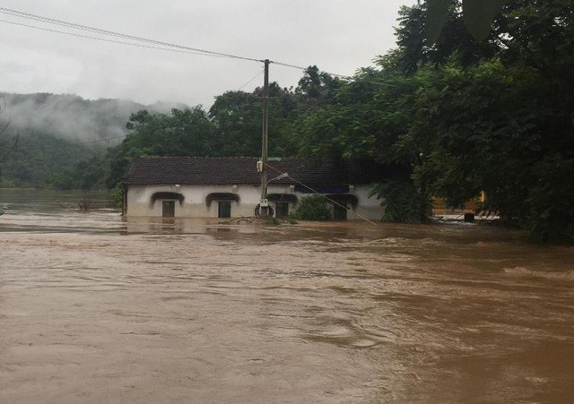 Thức trắng đêm cứu hàng nghìn con lợn bị ngập trong nước lũ ảnh 6