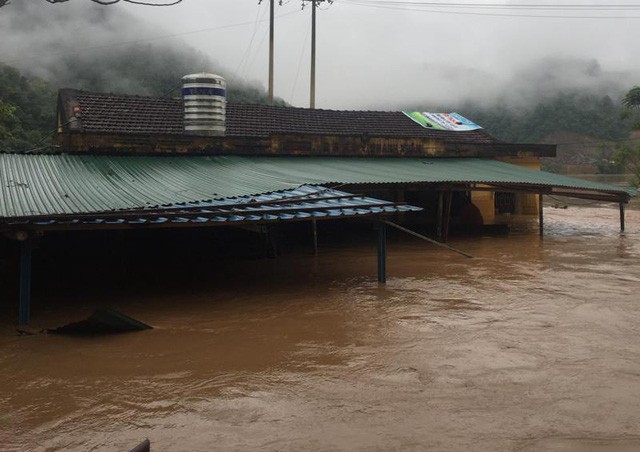 Thức trắng đêm cứu hàng nghìn con lợn bị ngập trong nước lũ ảnh 5