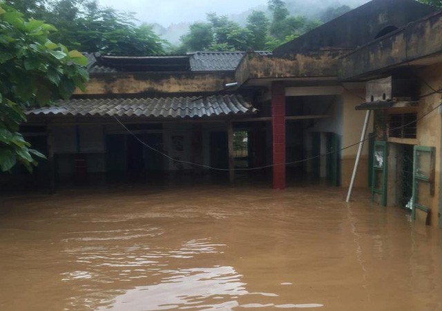 Thức trắng đêm cứu hàng nghìn con lợn bị ngập trong nước lũ ảnh 7