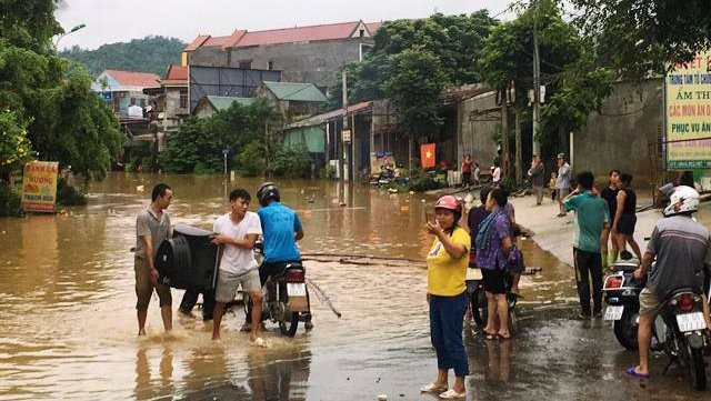 Thức trắng đêm cứu hàng nghìn con lợn bị ngập trong nước lũ ảnh 12