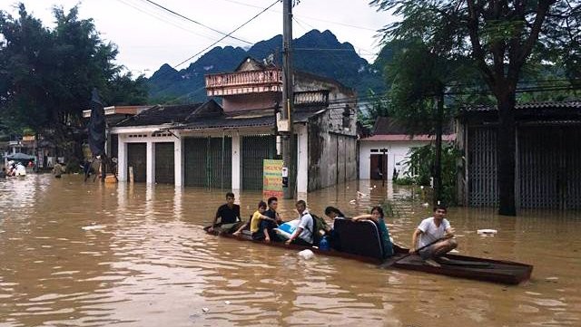 Thức trắng đêm cứu hàng nghìn con lợn bị ngập trong nước lũ ảnh 11