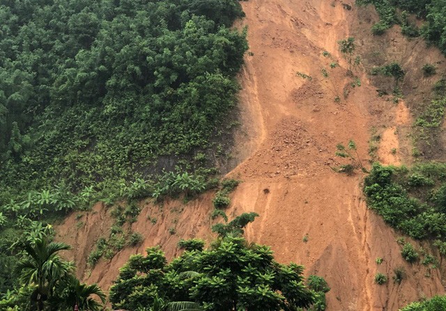 Thức trắng đêm cứu hàng nghìn con lợn bị ngập trong nước lũ ảnh 8