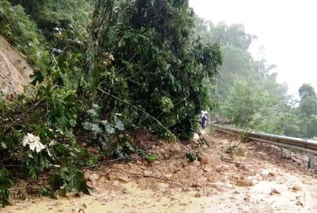 Thức trắng đêm cứu hàng nghìn con lợn bị ngập trong nước lũ ảnh 14