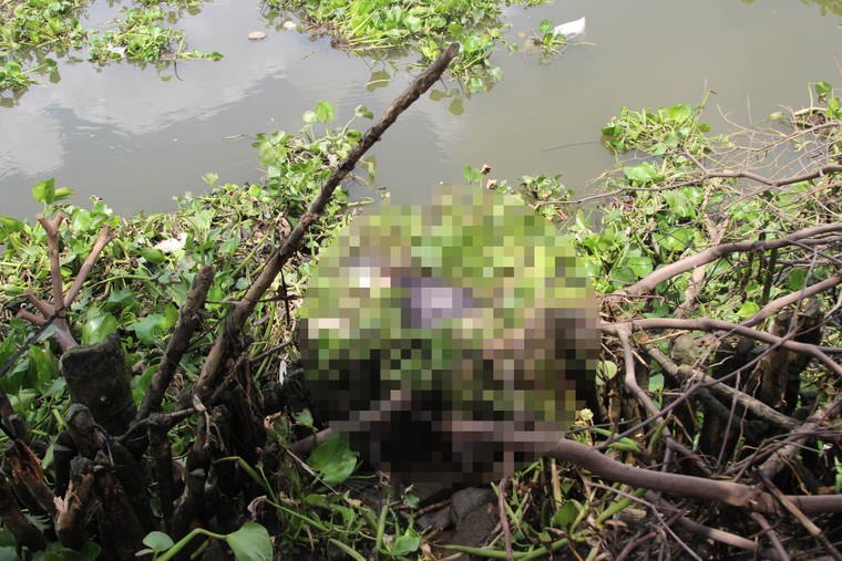 Tá hỏa phát hiện thi thể người đàn ông nổi trên sông Sài Gòn ảnh 1