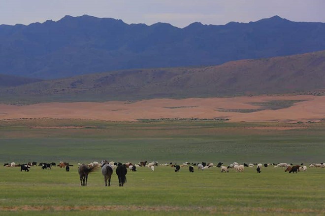 Sa mạc từng là một phần của Mông Cổ là?