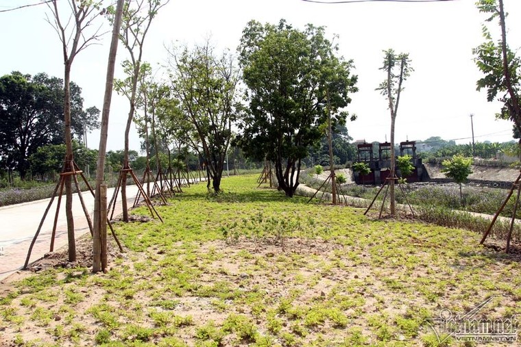 Quê nhà chuẩn bị lễ Quốc tang nguyên Tổng bí thư Đỗ Mười ảnh 10