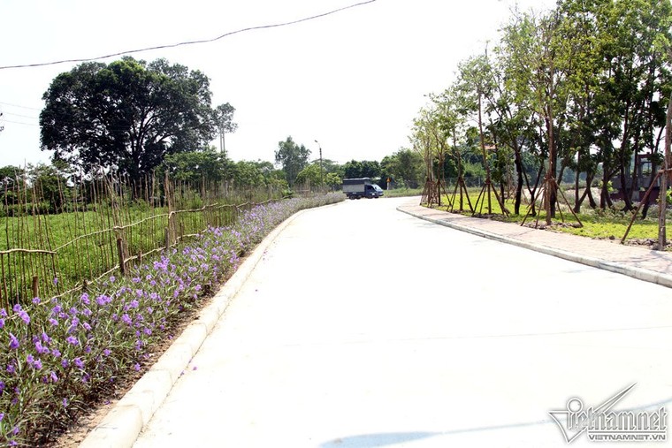 Quê nhà chuẩn bị lễ Quốc tang nguyên Tổng bí thư Đỗ Mười ảnh 9