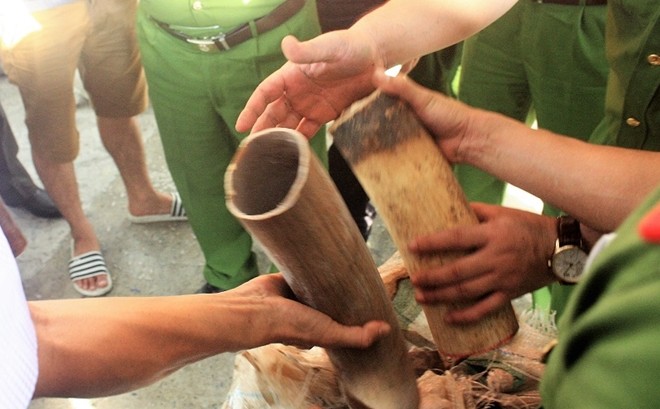 Bắt giữ 10 tấn ngà voi, vẩy tê tê nhập lậu vào cảng Tiên Sa ảnh 2
