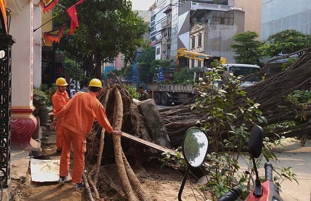 Cây cổ thụ đổ giữa đường, giao thông trên phố Hà Nội tê liệt ảnh 1