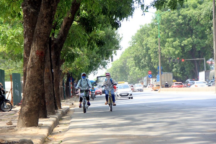 Hà Nội: Đường nghìn tỷ khác lạ sau 1 năm 'khai tử' hàng cổ thụ ảnh 12
