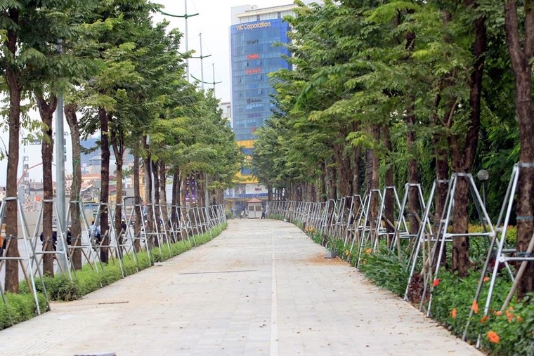Hà Nội: Đường nghìn tỷ khác lạ sau 1 năm 'khai tử' hàng cổ thụ ảnh 14