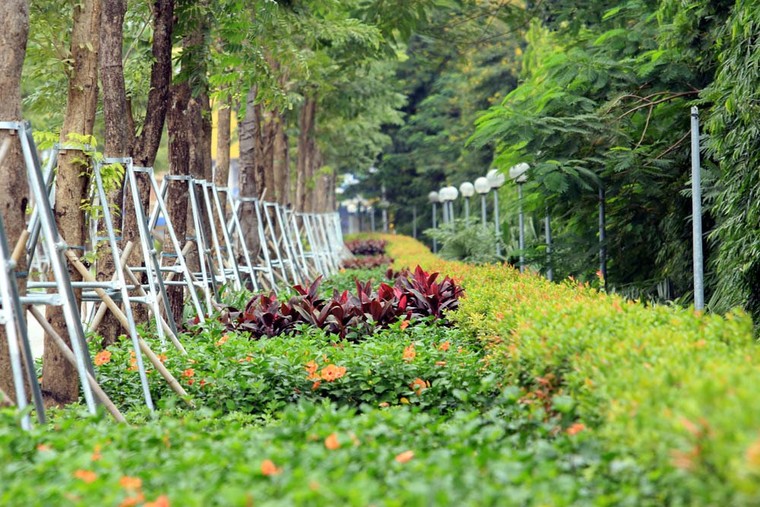 Hà Nội: Đường nghìn tỷ khác lạ sau 1 năm 'khai tử' hàng cổ thụ ảnh 15