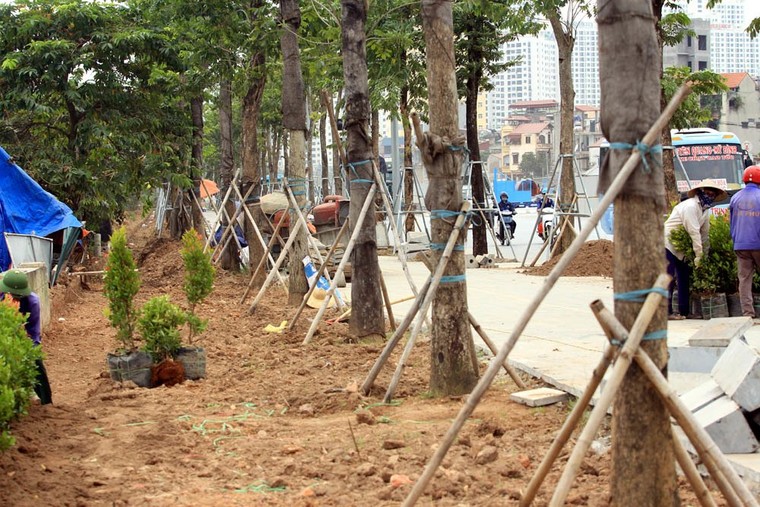 Hà Nội: Đường nghìn tỷ khác lạ sau 1 năm 'khai tử' hàng cổ thụ ảnh 16