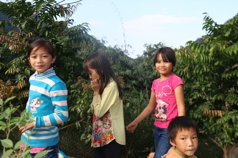 Những đứa trẻ đi học vui hơn ở nhà ảnh 10