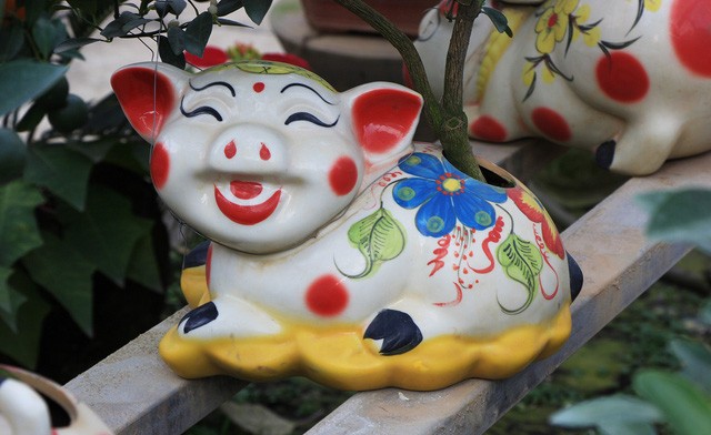 Heo đất 'cõng' quất cảnh đón Tết Kỷ Hợi 2019 ảnh 2