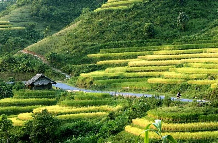 Bắc Kạn là một tỉnh thuộc vùng nào ở nước ta?