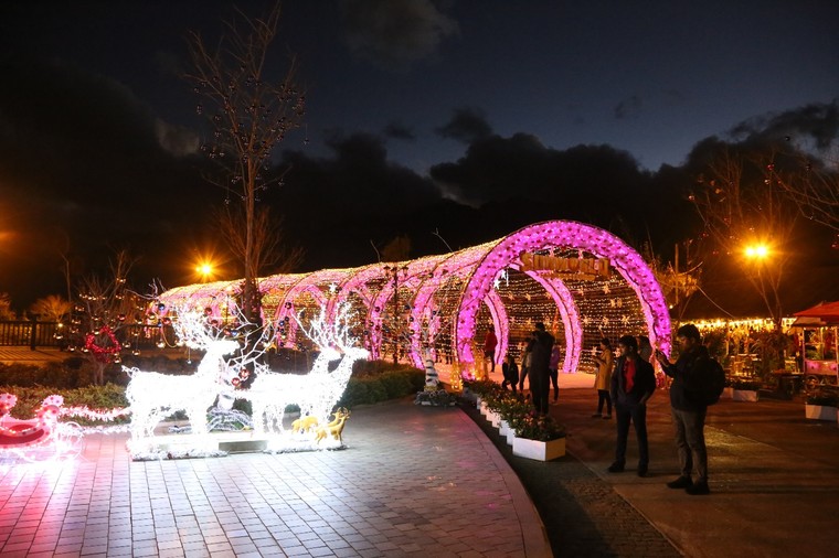 Du khách đổ lên Fansipan chiêm ngưỡng 'cây thông Noel đẹp nhất châu Âu' ảnh 6