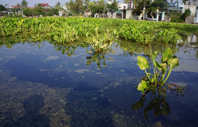 Mất nửa tháng để khắc phục sự cố tràn 4.000 lít dầu ở Thanh Hóa ảnh 2