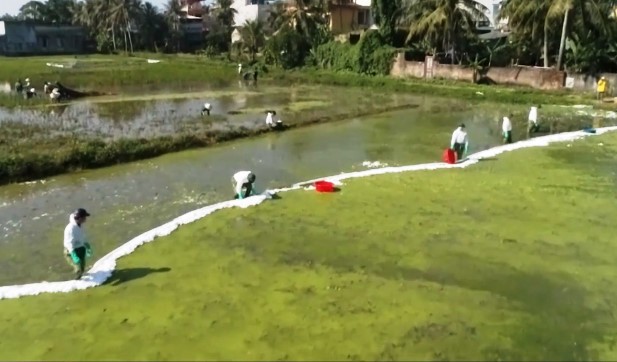 Mất nửa tháng để khắc phục sự cố tràn 4.000 lít dầu ở Thanh Hóa ảnh 1