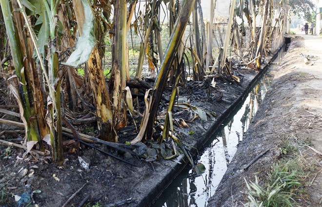 Mất nửa tháng để khắc phục sự cố tràn 4.000 lít dầu ở Thanh Hóa ảnh 3