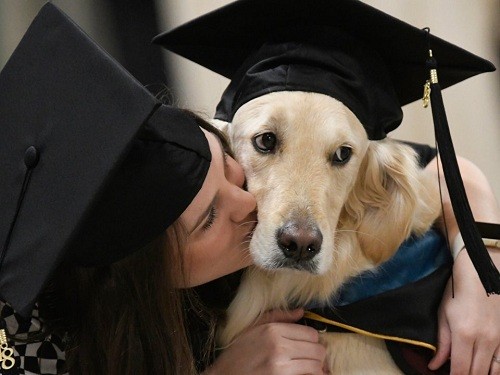 Giúp chủ học tập, chú chó được đại học Mỹ trao bằng danh dự ảnh 2