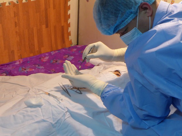 Những sự kiện nóng nhất ngành y tế năm 2018 ảnh 2