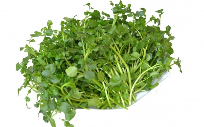 20 tác dụng tuyệt diệu của loại rau là 'thần dược của người nghèo' ảnh 3